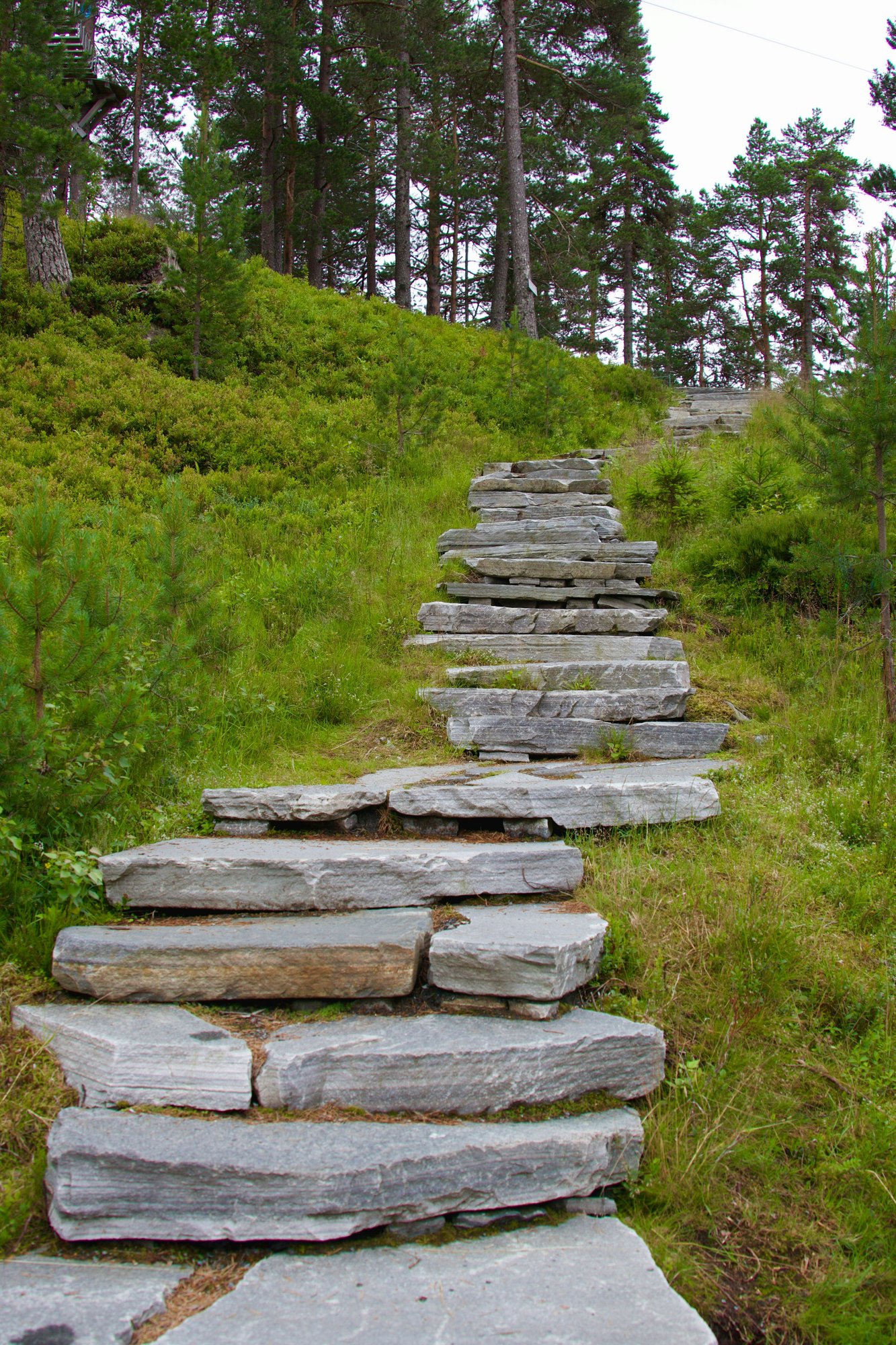mountain-6